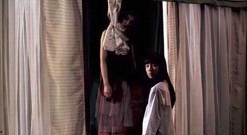 怨魂在线观看,在线惊悚之旅，揭秘幽冥之谜  第1张